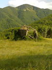 FOTO DI COPERTINA